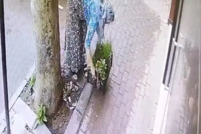 Bursa'da papatya hırsızlığı güvenlik kamerasına yansıdı