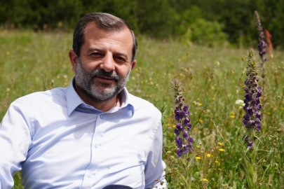 Gürsu'nun Gök Sığırkuyruğu çiçekleri açtı