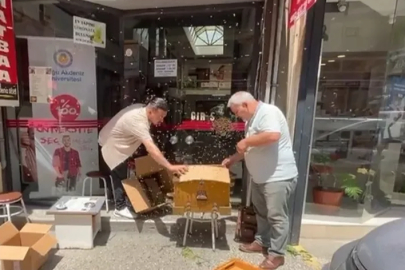 Bursa’da iş merkezini basan arılar korku dolu anlar yaşattı