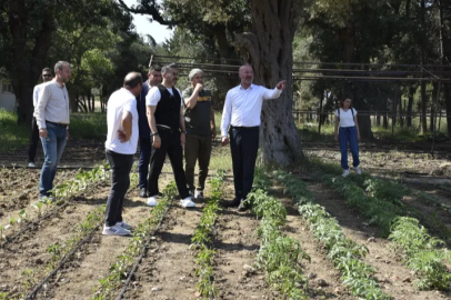 Tarımın geleceğine yatırım: Karacabey’den eğitime teknik destek