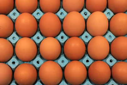 Yumurta üretimi 6 ayda 330 milyon adet azaldı