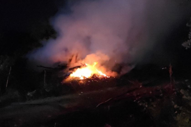 Mudanya'da bağ evi alevlere teslim oldu