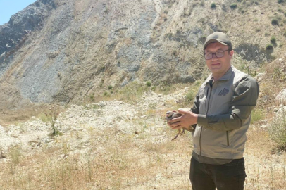 Bursa'da 100 keklik doğaya bırakıldı
