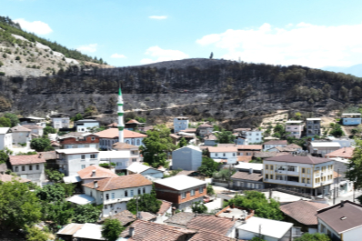 Bursa'da orman küllere döndü, mahalle son anda kurtuldu
