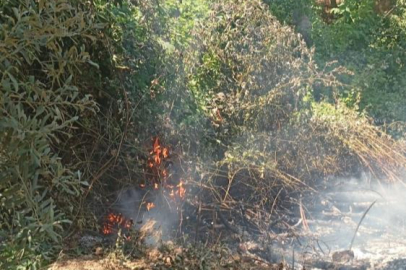 İznik’te orman yangını büyümeden söndürüldü