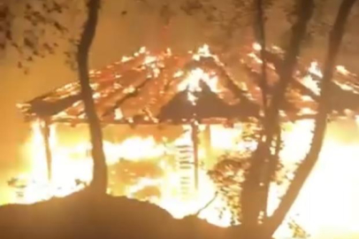 Bursa'da piknikçilerin söndürmeden bıraktığı ateş ormanı küle çeviriyordu