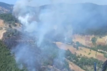 Balıkesir'de orman yangını