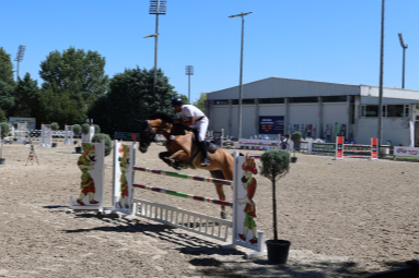 BUÜ’den 50. yıla özel proje: Genç Atlar Yarışması