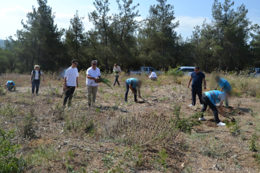 Bursa’da anlamlı iş birliği: Hükümlüler doğa için el ele verdi