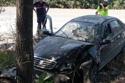 Bursa'da ağaca çarpan otomobildeki 2 kişi yaralandı