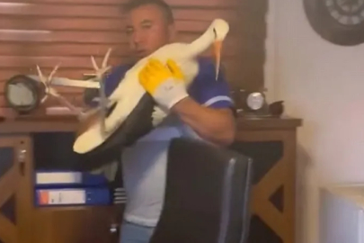 Bursa'da yaralı leyleğe şefkat eli