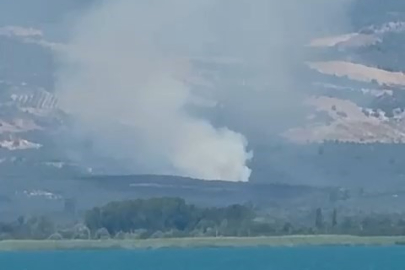 İznik'te orman yangını