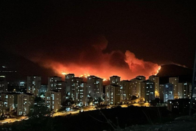 Bursa'daki orman yangını geceyi gündüze çevirdi...