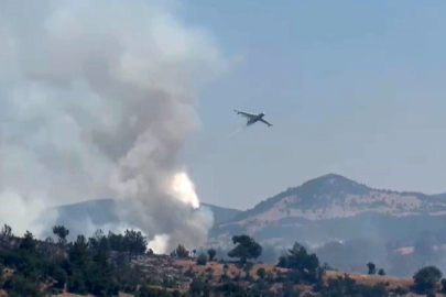 Bursa'daki orman yangınlarına havadan yoğun müdahale