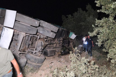 Bursa'da  biber yüklü kamyon zeytinliğe uçtu: 1 yaralı