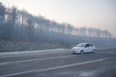 Bursa'daki orman yangını 3. gününde...