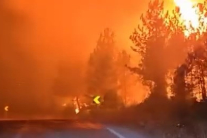 Bursa'da havai fişekle yangın çıkaran 4 kişi yakalandı