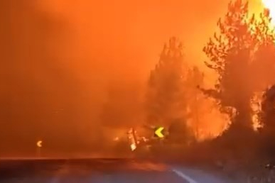 Bursa'da  orman yangınını söndürürken alev kapanında kaldılar