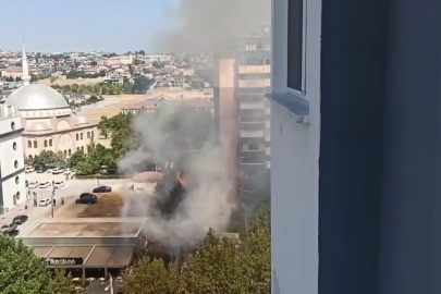 Bursa'da  şehrin merkezindeki alevler korku yaşattı