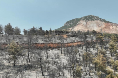Tarihinin en büyük Gürsu yangınından yürek burkan bu manzaralar kaldı