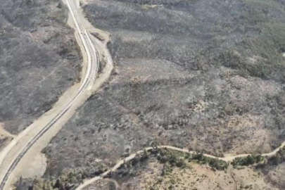 5 gün sonra kontrol altına alınan yangından geriye yürek burkan görüntüler kaldı