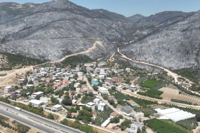 Yeşil Bursa'nın yemyeşil ormanları böyle karardı