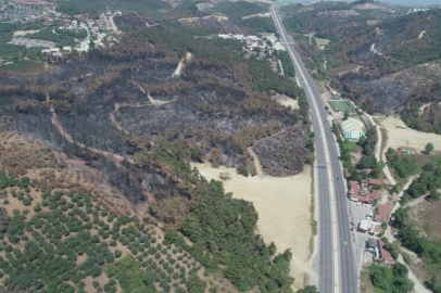 Bursa'da yanan alanlar hızla yeşillendirilecek