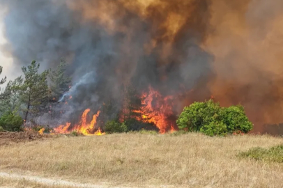 Yenişehir’deki orman yangını kontrol altına alındı
