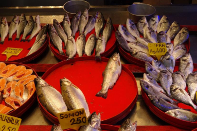 Balıkçıların gözü bu sezon hamside