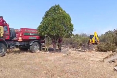 Bursa Nilüfer’deki orman yangını kontrol altına alındı