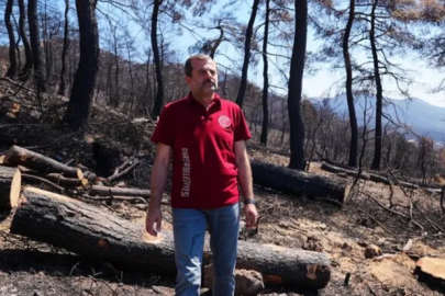 Bursa'da 3 bin kilo tohum, yanan bölgelerde toprakla buluşacak