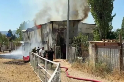 Bursa'da korkutan dam yangını: Bazı hayvanlar telef oldu