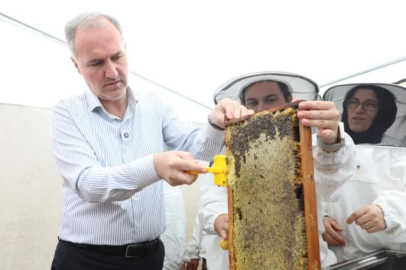İnegöl bal üretiminde kalitesiyle dikkat çekti