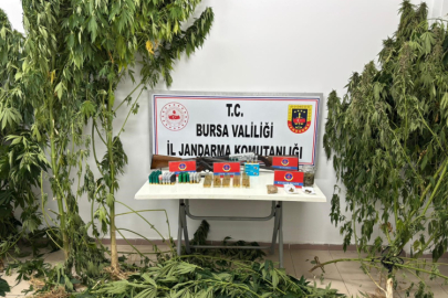 Bursa’da jandarmadan uyuşturucu operasyonu