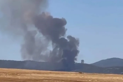 Bursa'da orman yangını...