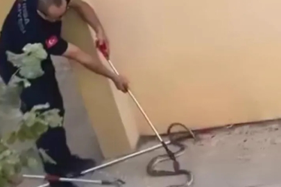 Bursa’da konut bahçesinde dev yılan panigi