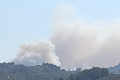 Bursa'da orman yangını: Havadan ve karadan müdahale ediliyor