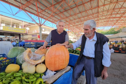 Darende'nin meşhur bal kabağı üreticinin yüzünü güldürüyor