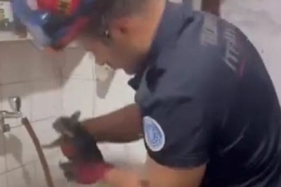 Bursa'da yavru kedi boruya sıkıştı, toprağı kazarak kurtarıldı