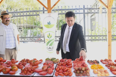 Osmangazi'den organik tarıma destek: Ata tohumlarıyla üretim sürüyor