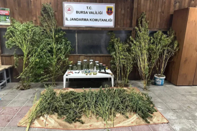 İnegöl'de operasyonu: 9 kilo 400 gram esrar ele geçirildi