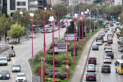 Erken teşhis için sokak lambaları pembe yanıyor