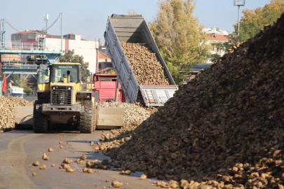 Tarım Bakanlığı: "Kuraklık nedeniyle şeker pancarı üretimini kısıtlamayacağız"