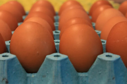 YUM-BİR: Sağlıklı bir yaşam için her gün yumurta