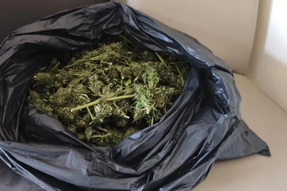 Bursa polisi kümes baskınında zehri buldu!