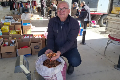 Elma kurusu, üreticisini sevindirdi