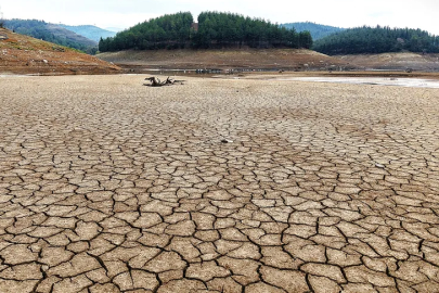 Bursa Ovası’nda kuraklık krizi: Gölbaşı Göleti tamamen kurudu