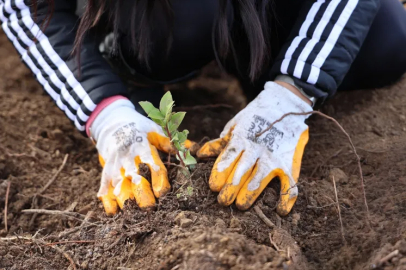 Uludağ Elektrik’ten çevreci adım: E-fatura ile su tüketimi azalıyor
