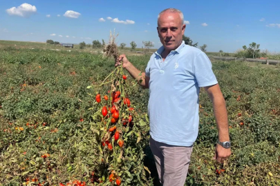 Londra’dan Karacabey’e: Tarıma büyük yatırım