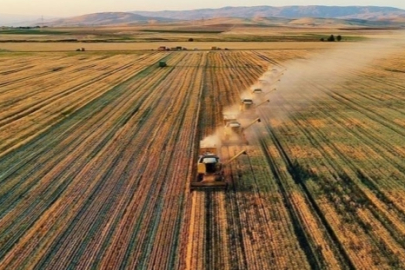 Tarım-GFE yıllık yüzde 34,09 arttı